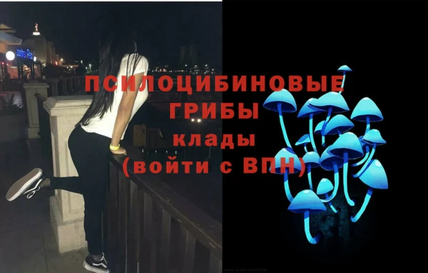 соль ск Алексин