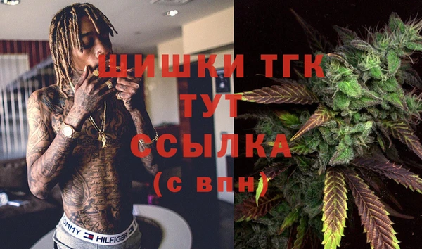 ешки Алзамай