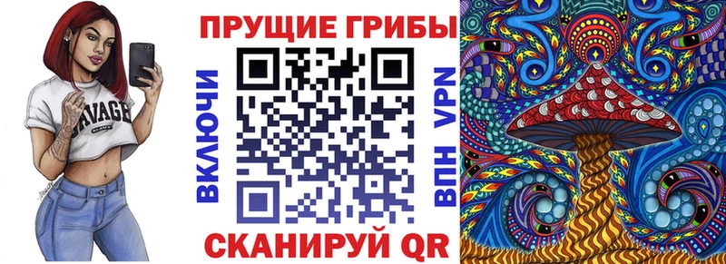 Псилоцибиновые грибы Psilocybe  Добрянка 